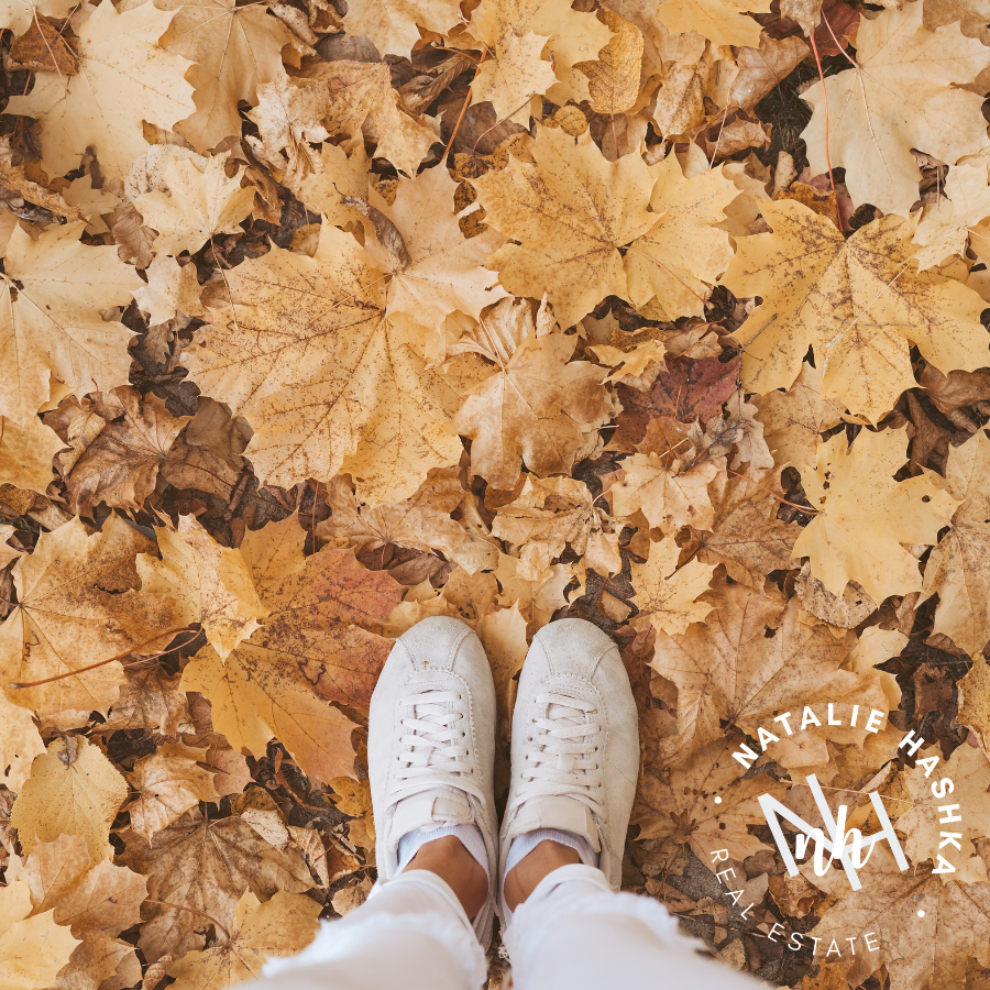 Your Essential Fall Home Maintenance Guide - Natalie Hashka Real Estate.